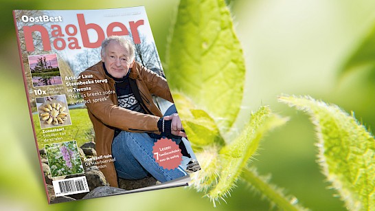 Naober lente 2023